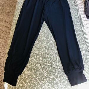 Franne Golde, size L, navy, pants